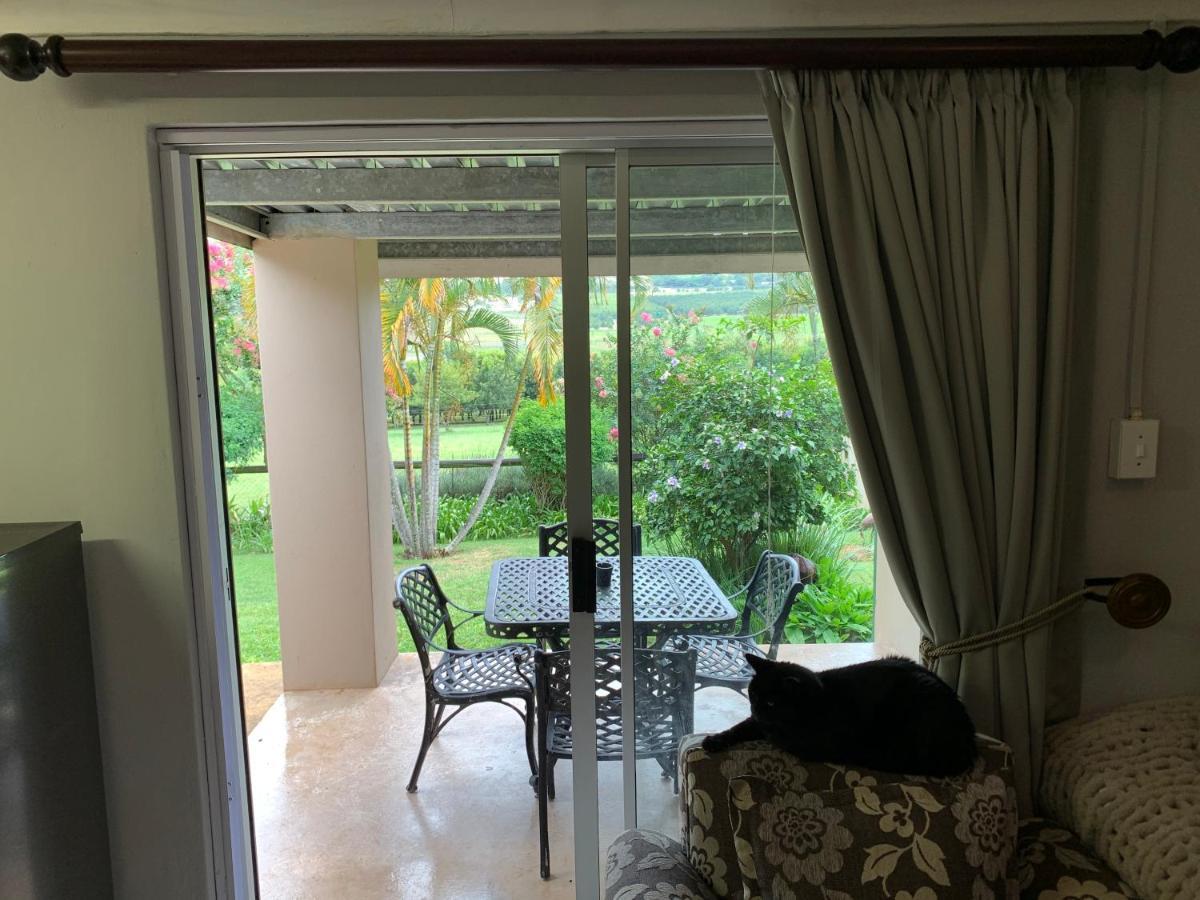 Jelani Guest House White River Esterno foto